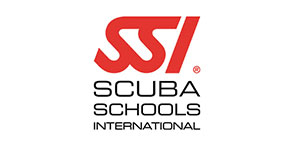 SSI ssi